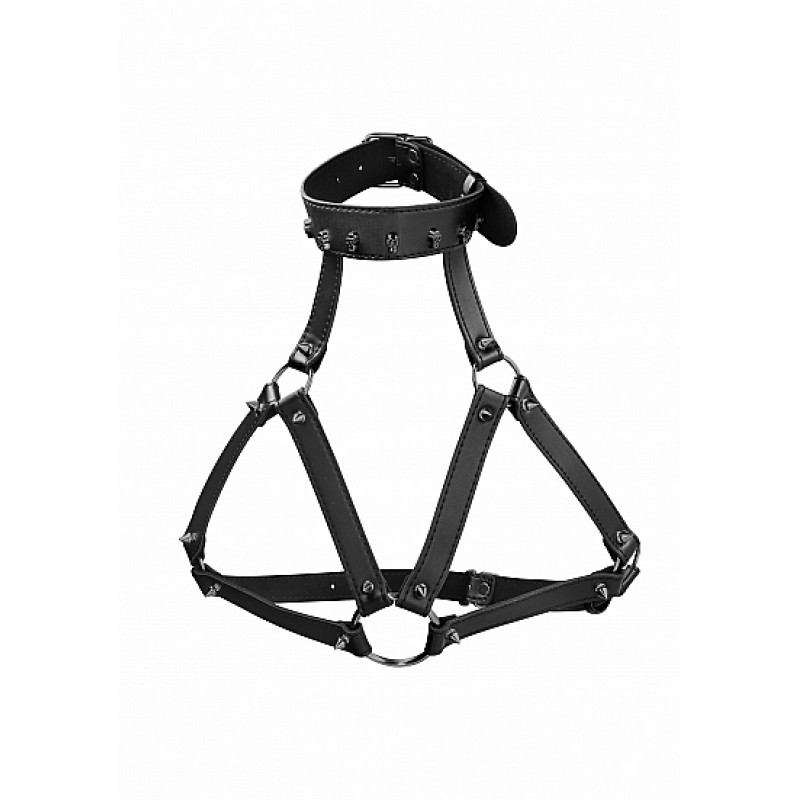 ARNÉS NEGRO AJUSTABLE PARA MUJER